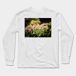 Bees On Sedum Flower 3 Long Sleeve T-Shirt